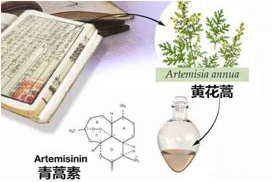 kaiyun开云,kaiyun开云(中国)：向中医药看齐，与世界共享中医药文化(图1)